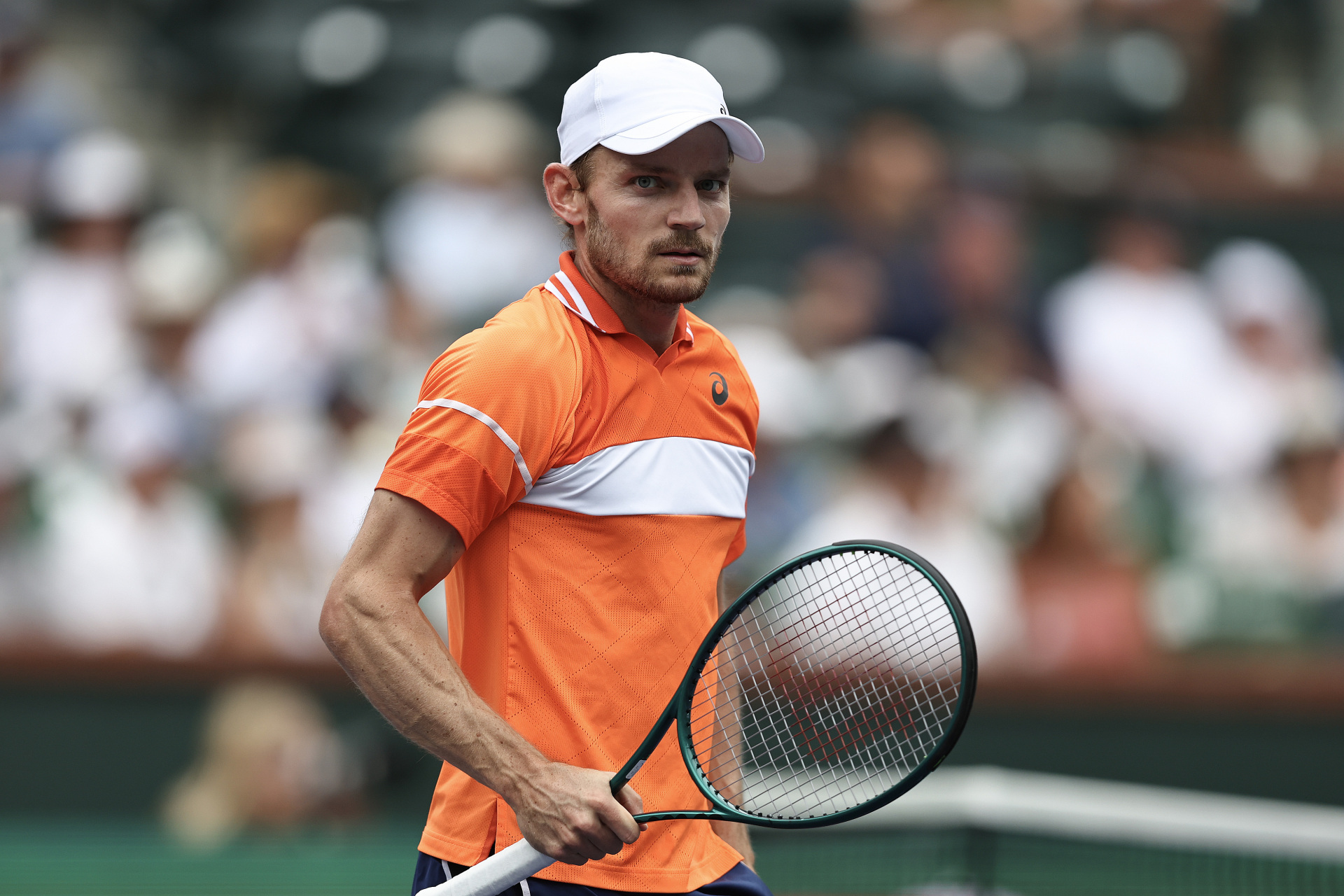 关于西班牙网球队绝地反击意大利网球队，穆雷高光表现的信息