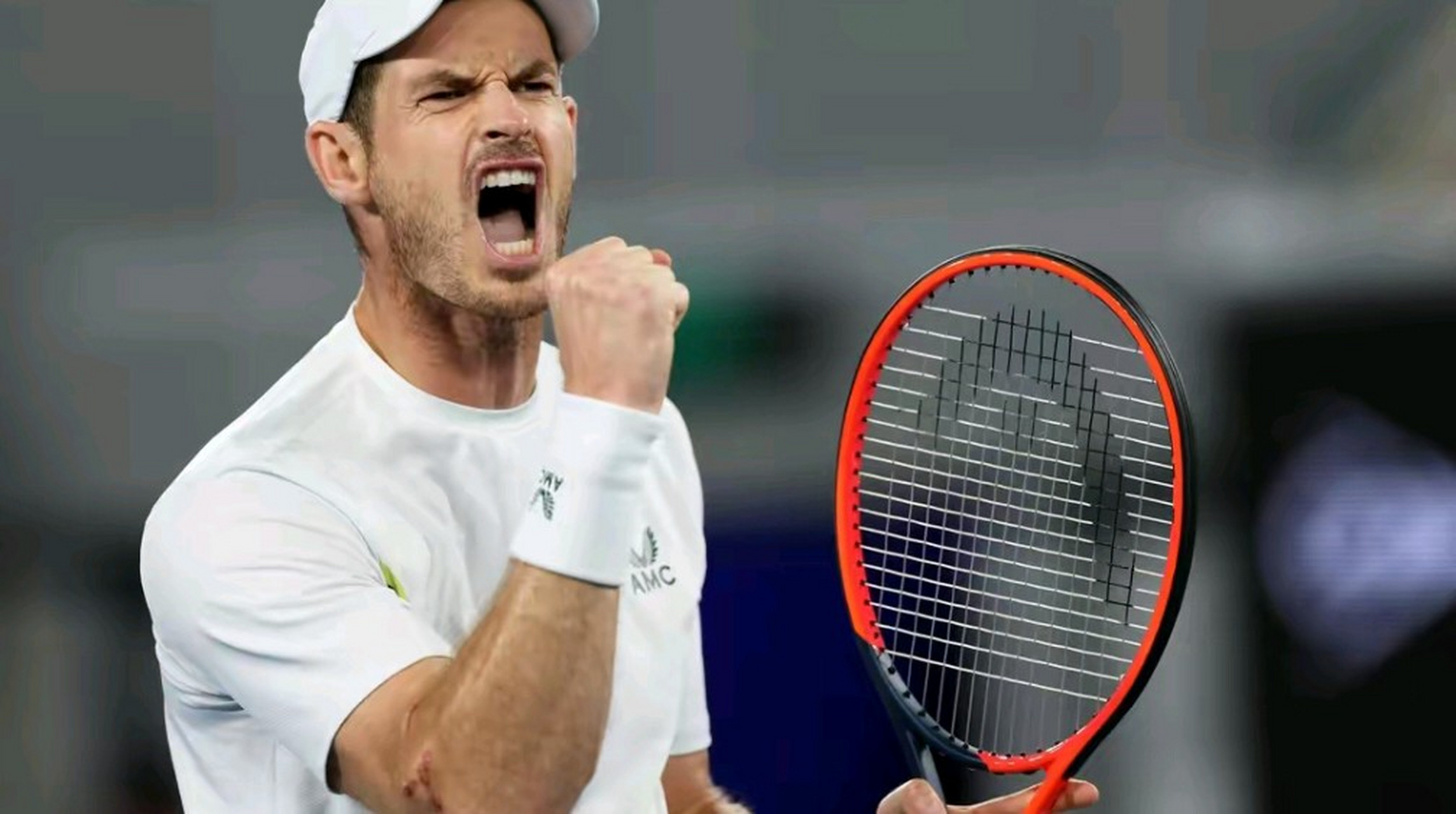 澳网鏖战法网,穆雷统治全场 澳网鏖战法网,穆雷统治全场