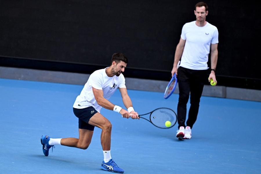 澳网鏖战法网,穆雷统治全场 澳网鏖战法网,穆雷统治全场