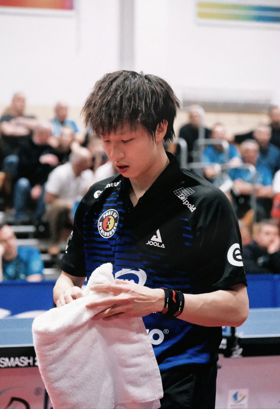 瑞典队力克法国队,林高远刷新纪录 瑞典队力克法国队,林高远刷新纪录