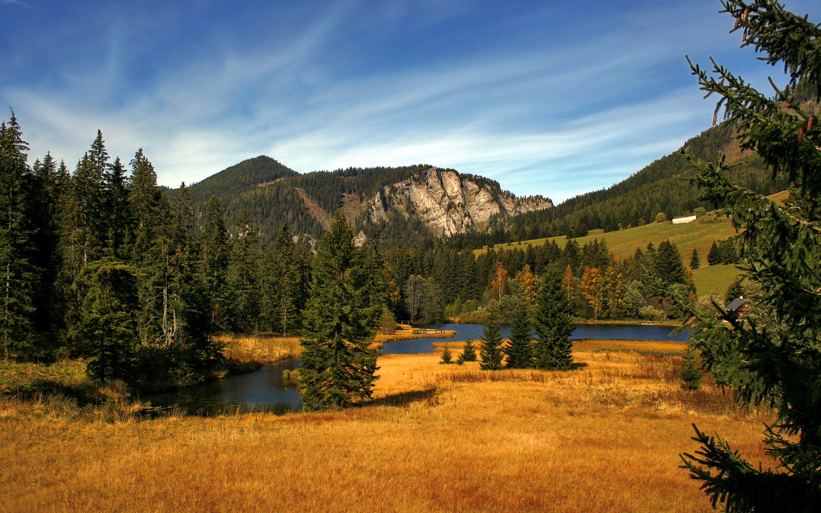 高原上的流星雨，戈麦斯爆发，玻利维亚以血性足球血拼国际米兰