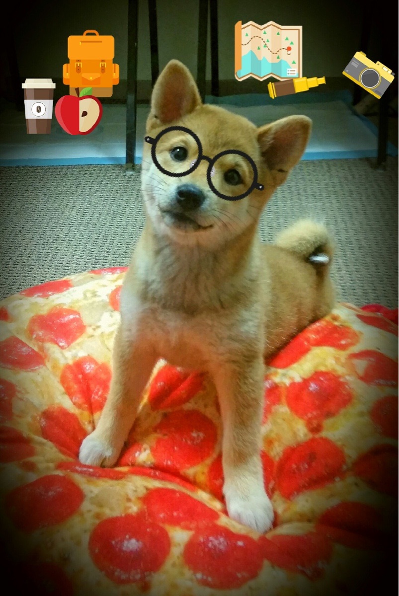 双星闪耀蓝鹰之巅,阿尔及利亚奇迹夜的阿克制造