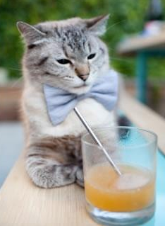 一瞬成王，本泽马于静默处点亮的欧冠之夜