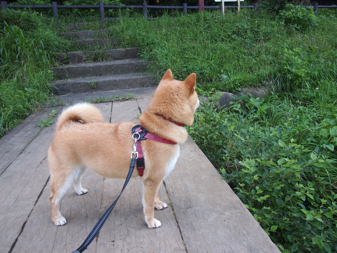 悬崖上的方舟，唯一胜利背后的勇士生存法则