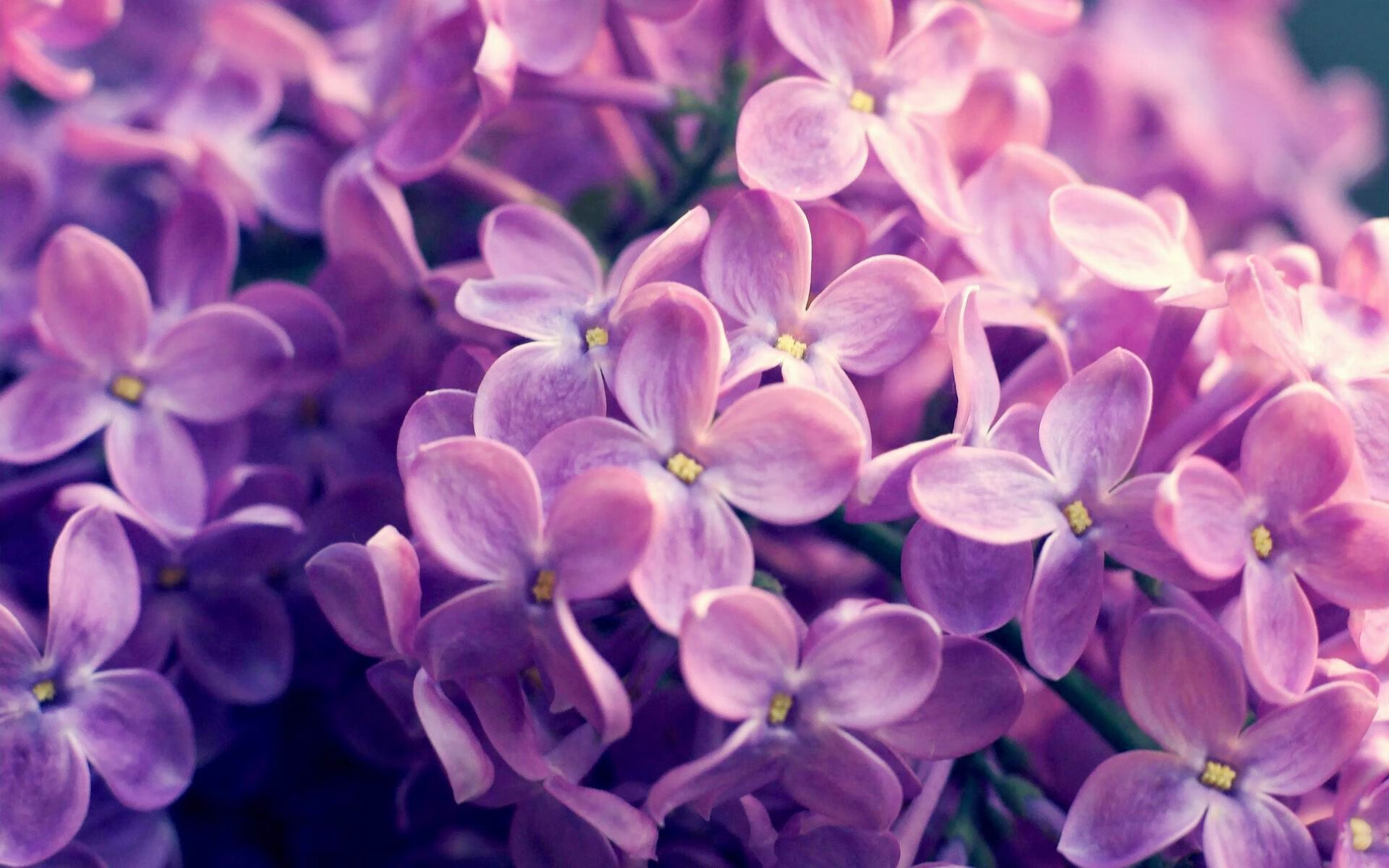 扩展思维后的文章标题