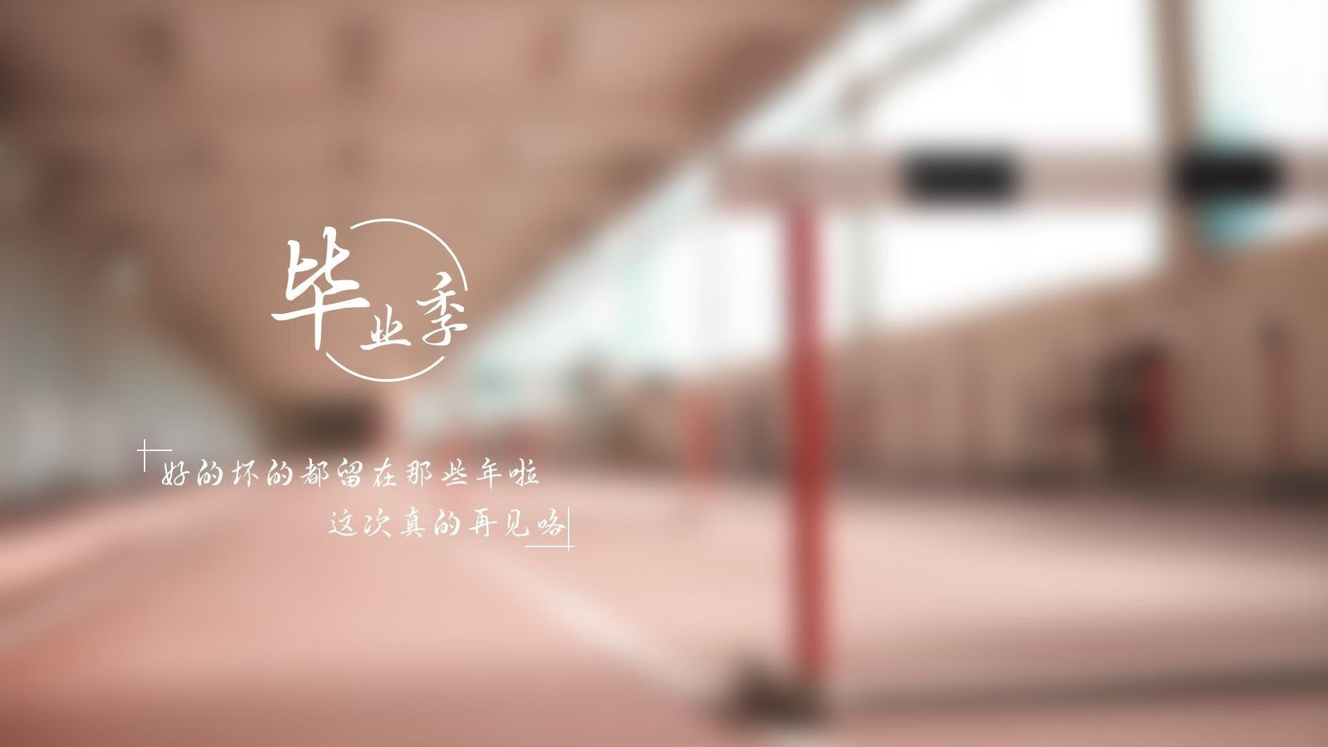 孤注一掷的荣耀,托纳利与那场从未存在的世界杯决赛